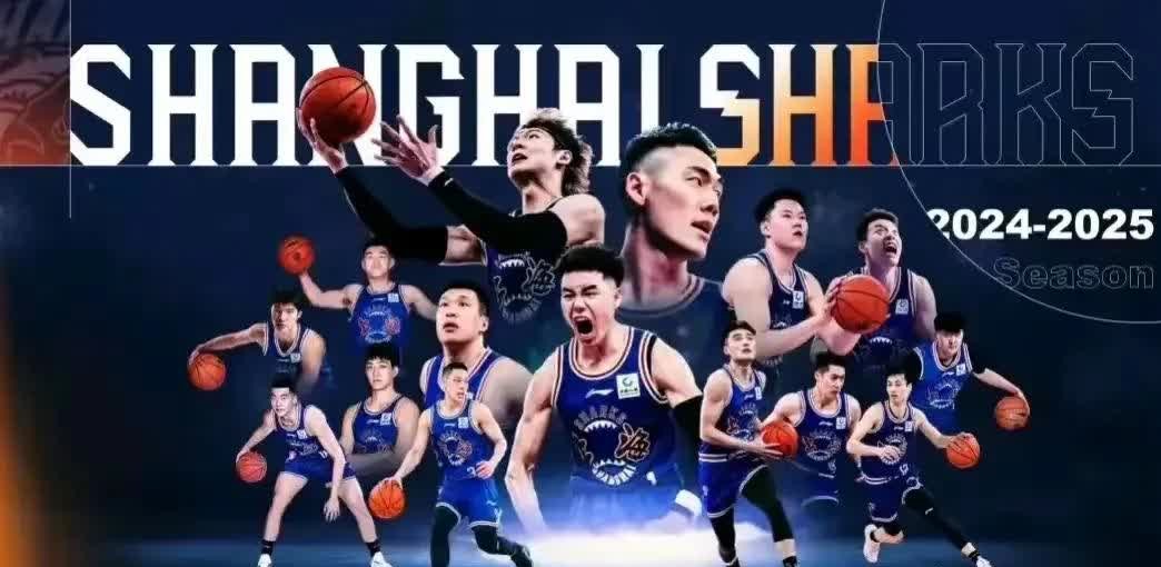 关于贵州男篮努力奋斗，但最终败在关键时刻的信息